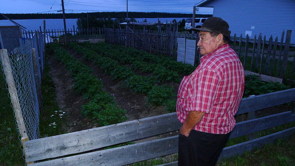 图3:老乔西雅各(Webequie第一个国家)谈论他的土豆花园。图像由安迪•Fyon Webequie, 2012年8月23日。