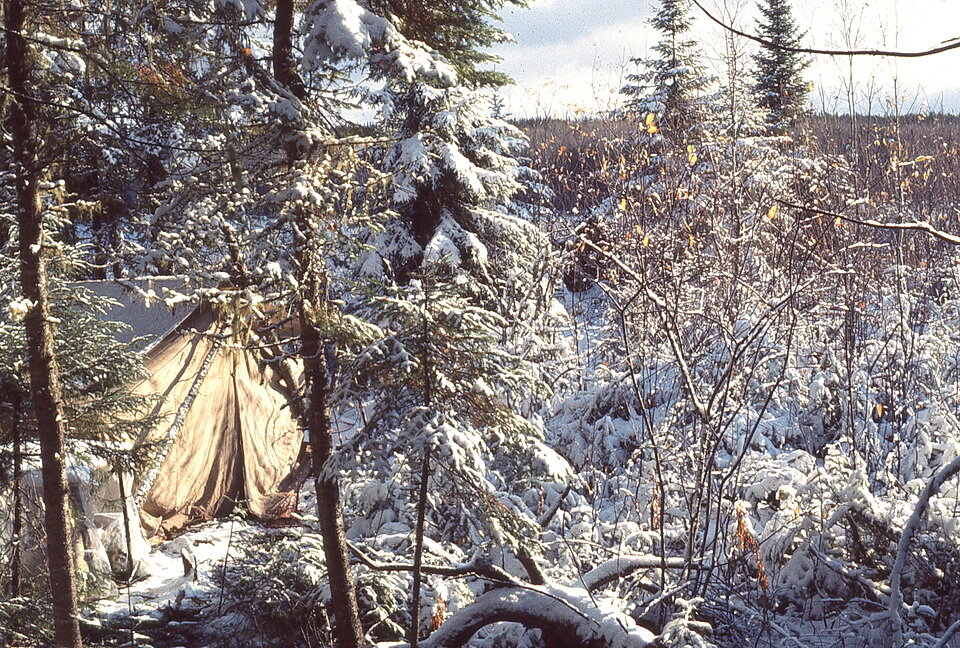 Photo 3: Our white cotton tent nestled among the trees the day AFTER the snow storm. Although it was sunny, the combination of white tent + white snow made it impossible for the pilots to locate the camp. Image by Andy Fyon, Hill Lake, northern Onta…