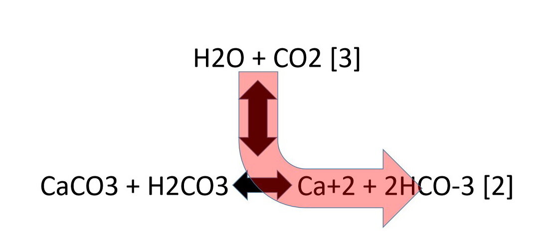 图5:增加二氧化碳(CO2)压力导致方解石(CaCO3)溶解。