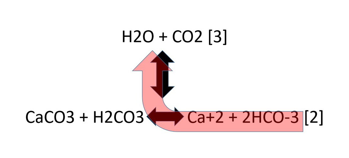 图6:降低二氧化碳(CO2)压力导致方解石(CaCO3)沉淀。