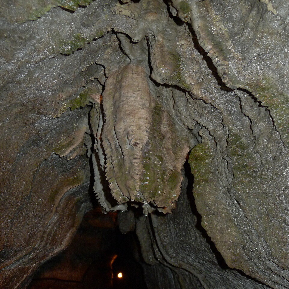 照片3:一个钟乳石是一种洞穴堆积物形成石灰岩洞穴,这是由碳酸钙(碳酸钙),并从洞穴屋顶挂像冰柱。钟乳石出现在这张照片的中心。图像由安迪•Fyon混合涂料…
