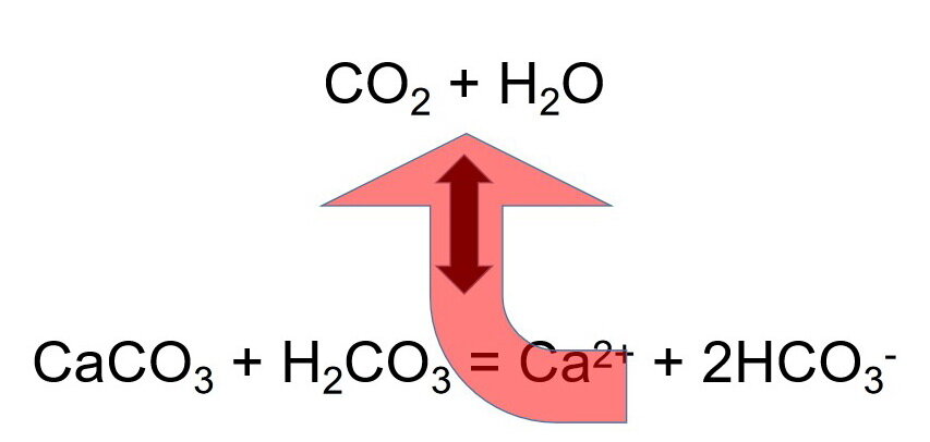 图5:这个化学反应说明了发生在水溶液中与二氧化碳气体饱和与矿物方解石处于平衡状态。如果二氧化碳气体从解决方案中移除(第一行),化学在…