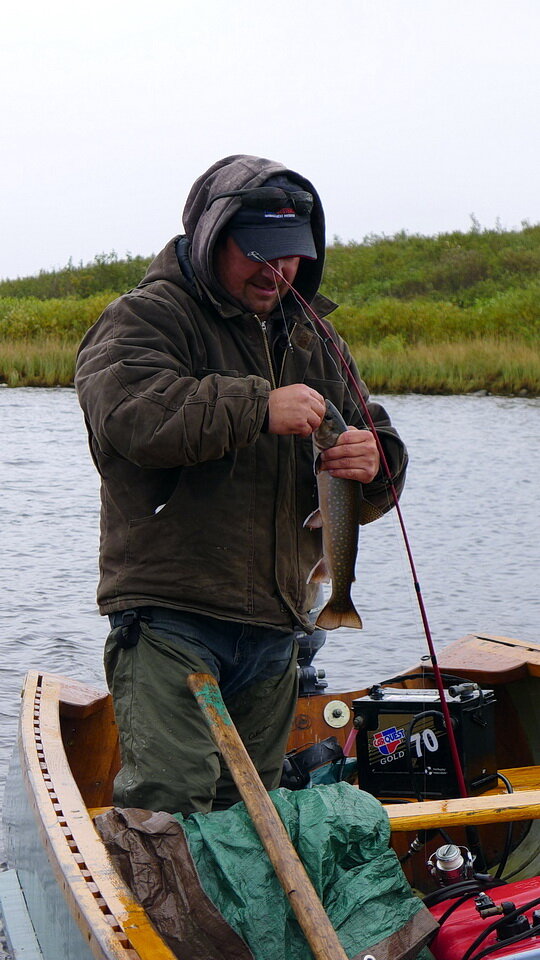 图3:一条可爱的溪鳟鱼，由Victor Wabano (Weenusk First Nation)沿着Winisk河捕获，Peawanuck北部，安大略省。raybet11Andy Fyon摄于2012年9月21日。