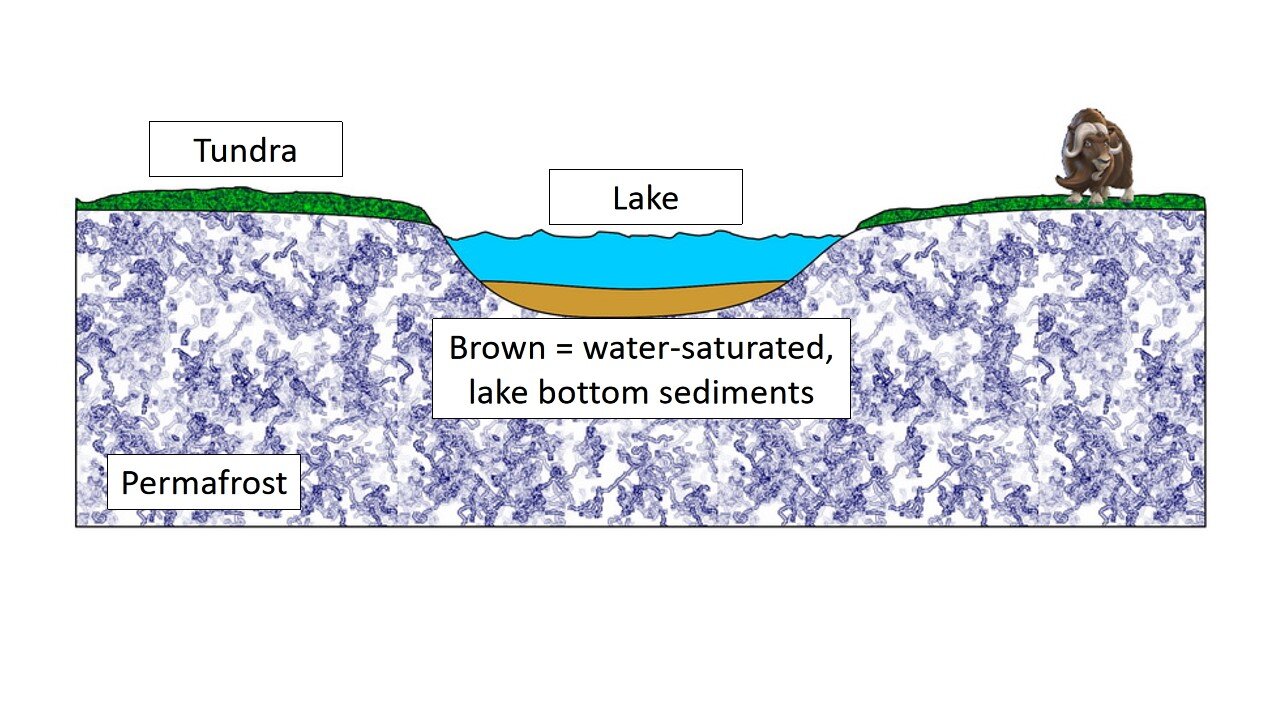 图9:一个卡通的苔原湖,开发连续冻土。棕色的颜色材料代表被水浸透的湖底沉积物,或淤泥。2021年e . Ginn卡通。