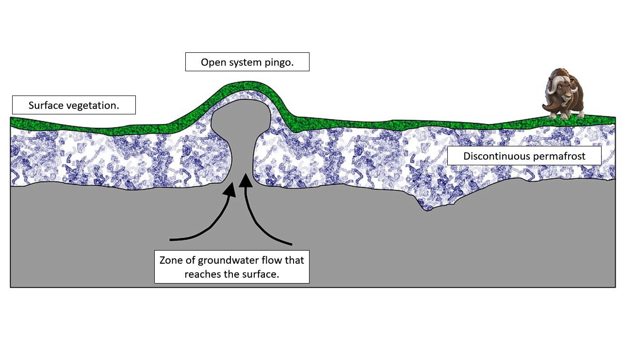图片3:卡通开放系统的小丘,地下水流动在永冻层不连续的一个领域。由大肠Ginn卡通,4月18/21