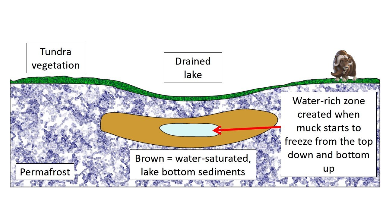 图10:由于被水浸透的湖底沉积物冻结自顶向下和自底向上,压水集中在湖底沉积物的核心。由大肠Ginn卡通,4月18/21。