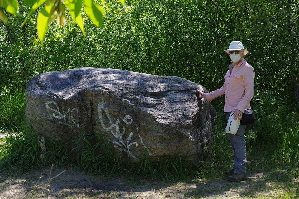 图9:一个冰川漂坐在Carlington森林地区的石灰岩,渥太华,健行步道。不稳定的由格伦维尔片麻岩(参见下面的10辐透,片麻岩的纹理的特写镜头。安迪Fyon照片,也许31/21。
