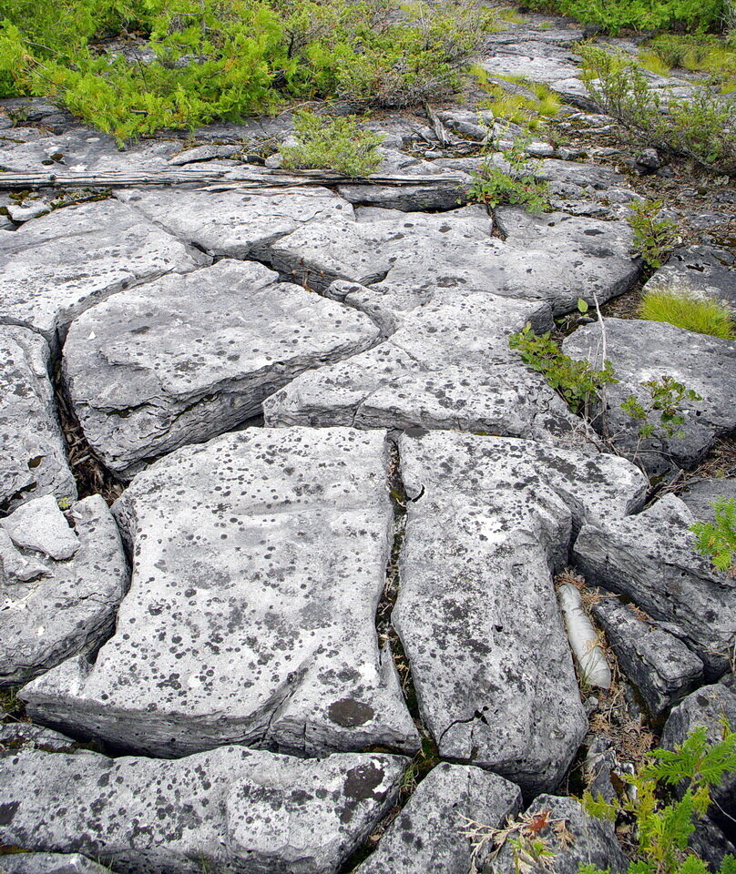 图1:开放裂缝grikes (grykes)。平,路面grikes称为克林特之间的区域。这些是发达在石灰岩和白云岩岩溶特征。照片由安迪•Fyon痛苦湾省立公园,Manitoulin岛,安大略省,加拿大,2010年8月23日。raybet11雷竞技官网dota