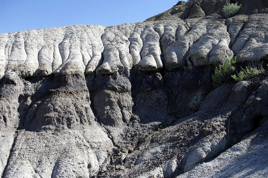 A black coal bed lying between two white-coloured sandstone beds.