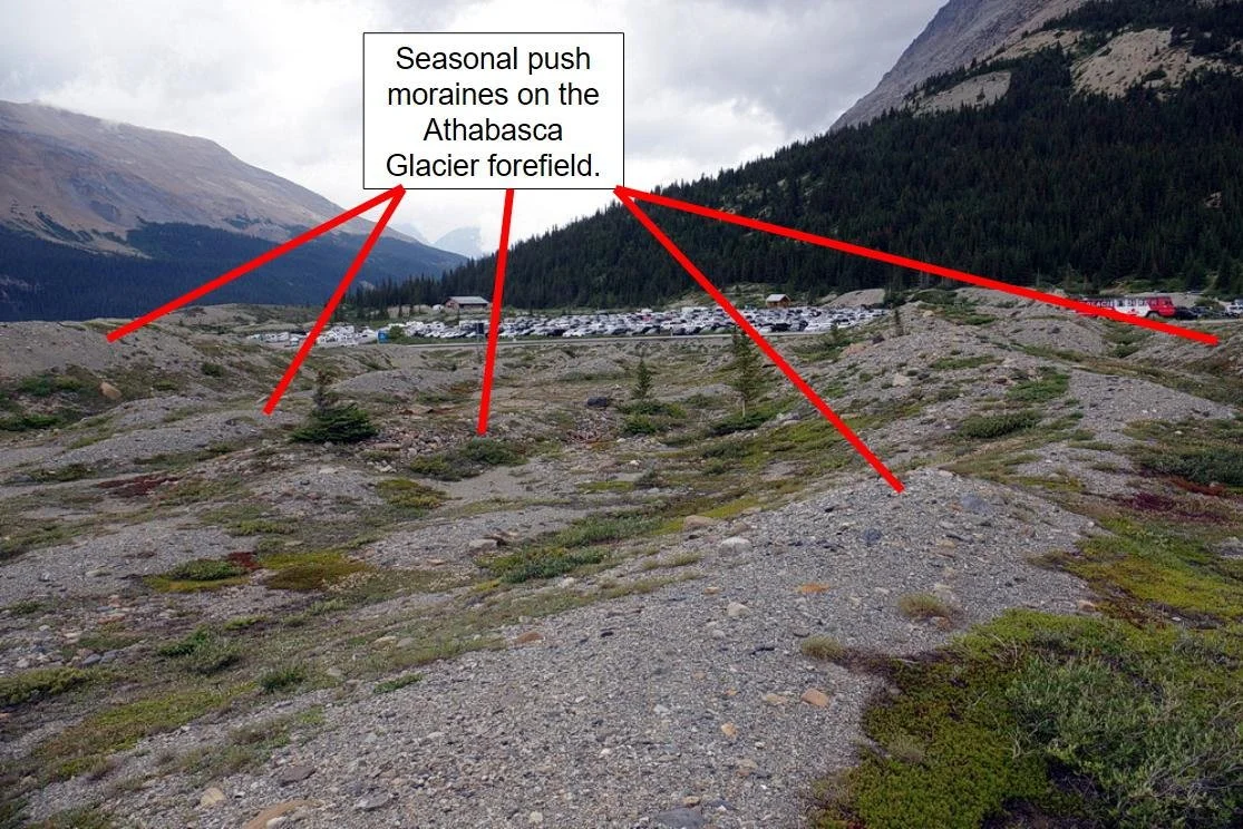 A series of gravel ridges likely represent seasonal push moraines created by the Athabasca Glacier.