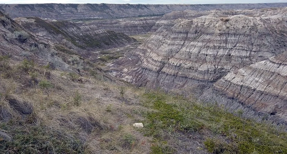 Vista of the Horsethief Canyon, a dramatic area of dablands, complete with the 70 million year old rocks.