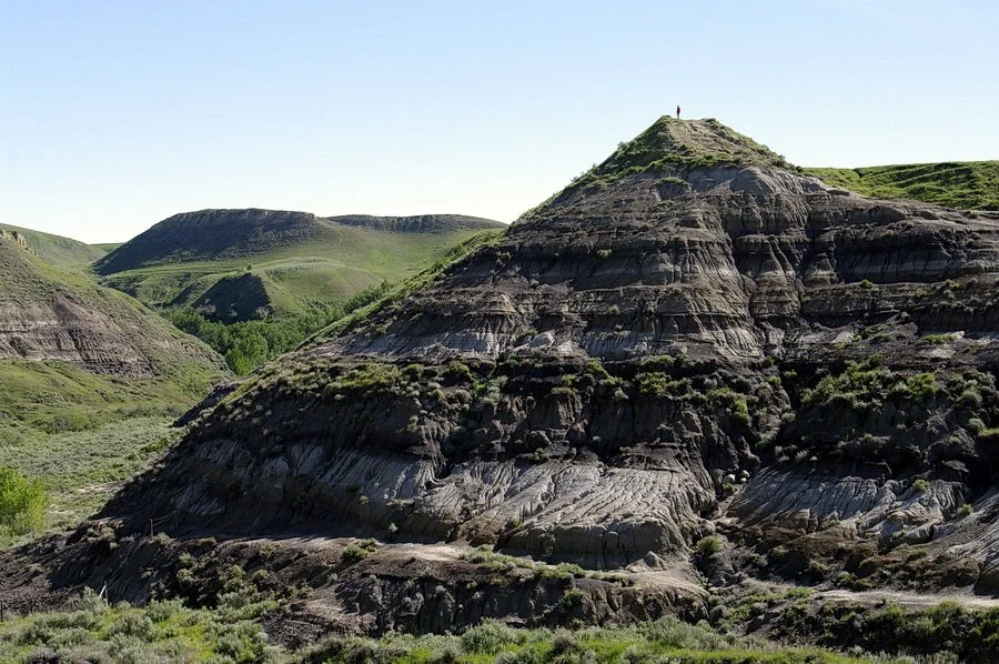 Black bands of rock are beds of coal, created by burial, compression and heating of dead plants 70 million years ago.
