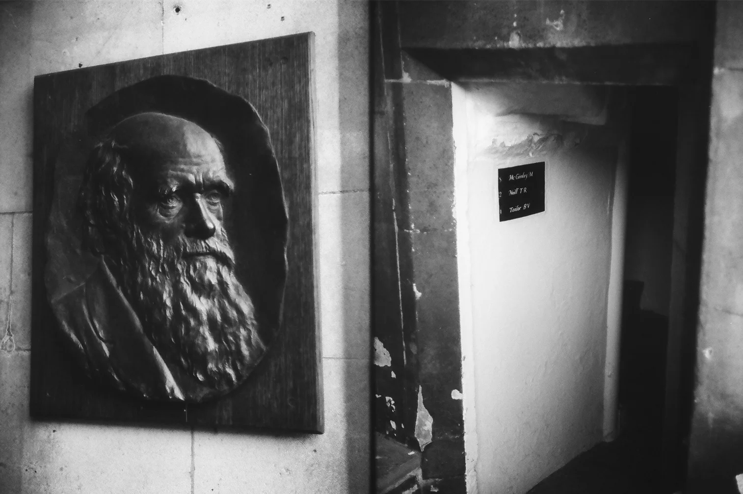 Thoughts on Darwin, Cambridge UK
