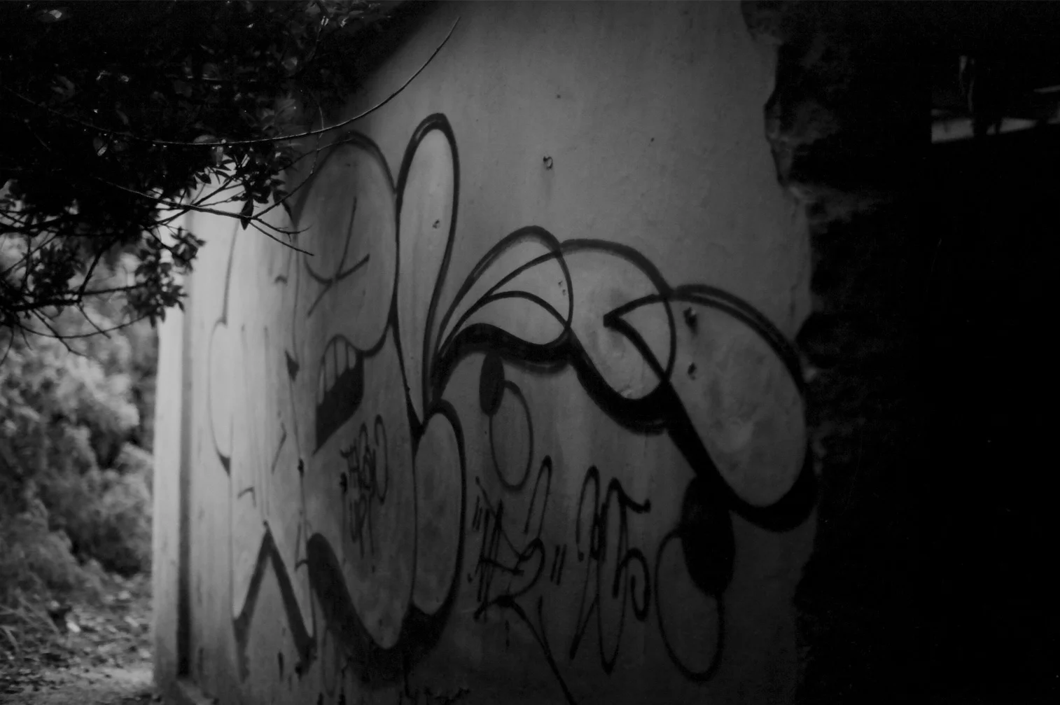 Abandoned Places 6, Bermuda