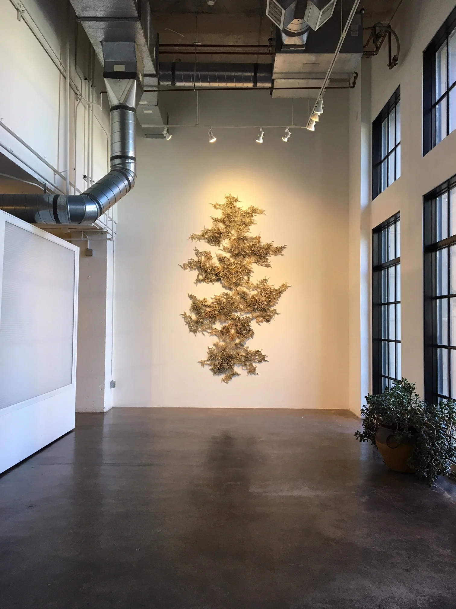 Cerebral Mapping: books and wax. Artist: Jessica Drenk, 2016 Gallery: Walker Fine Art in Denver