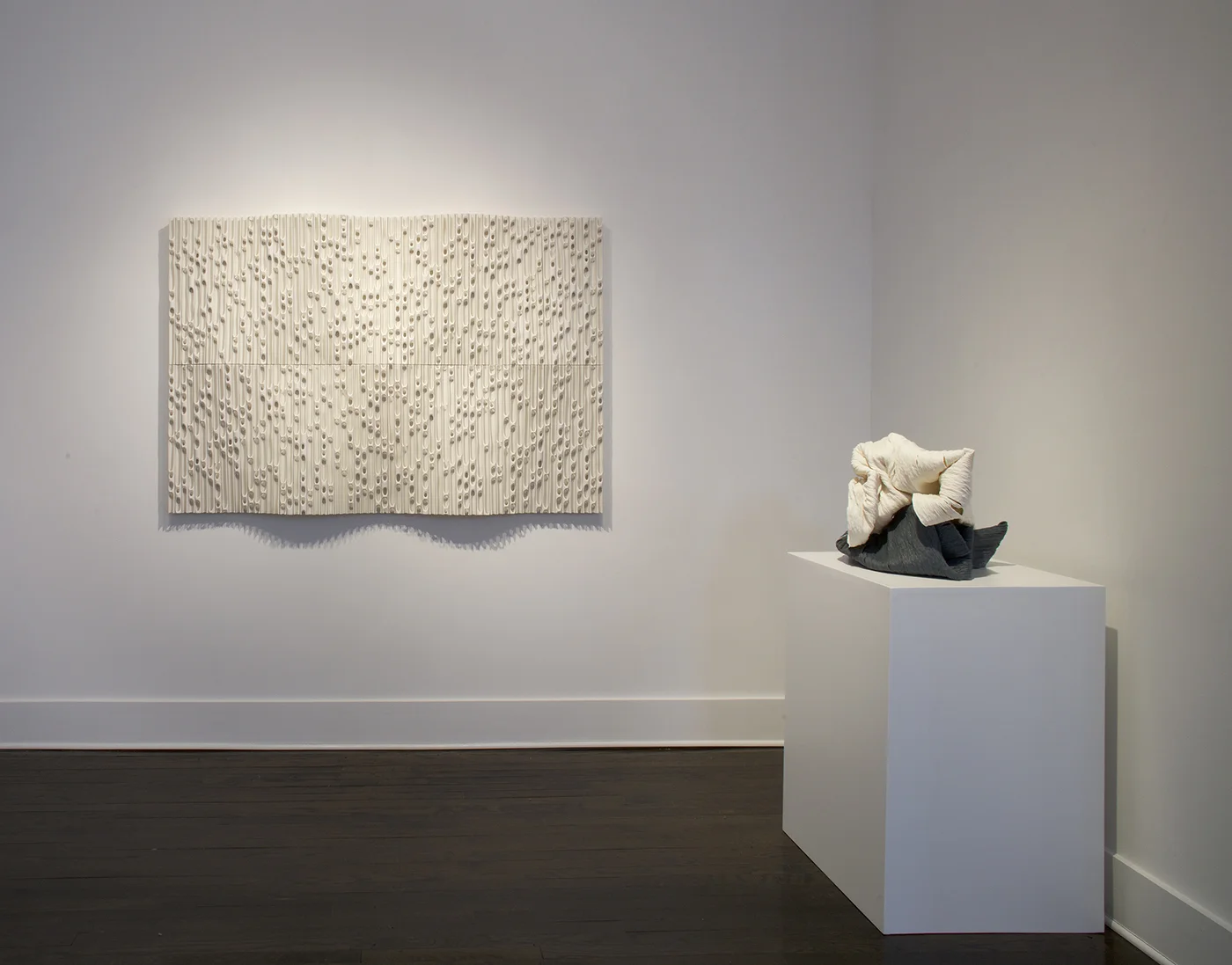 Jessica Drenk: Wave 7, with Cheryl Ann Thomas: Pure