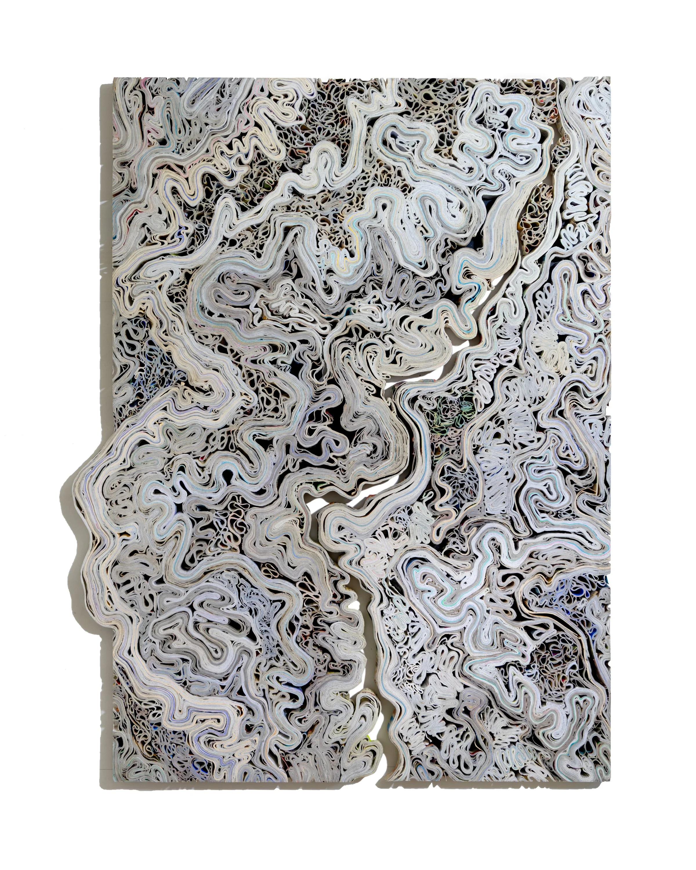  Aggregate: Flow 1, junk mail, 74” x 56” 