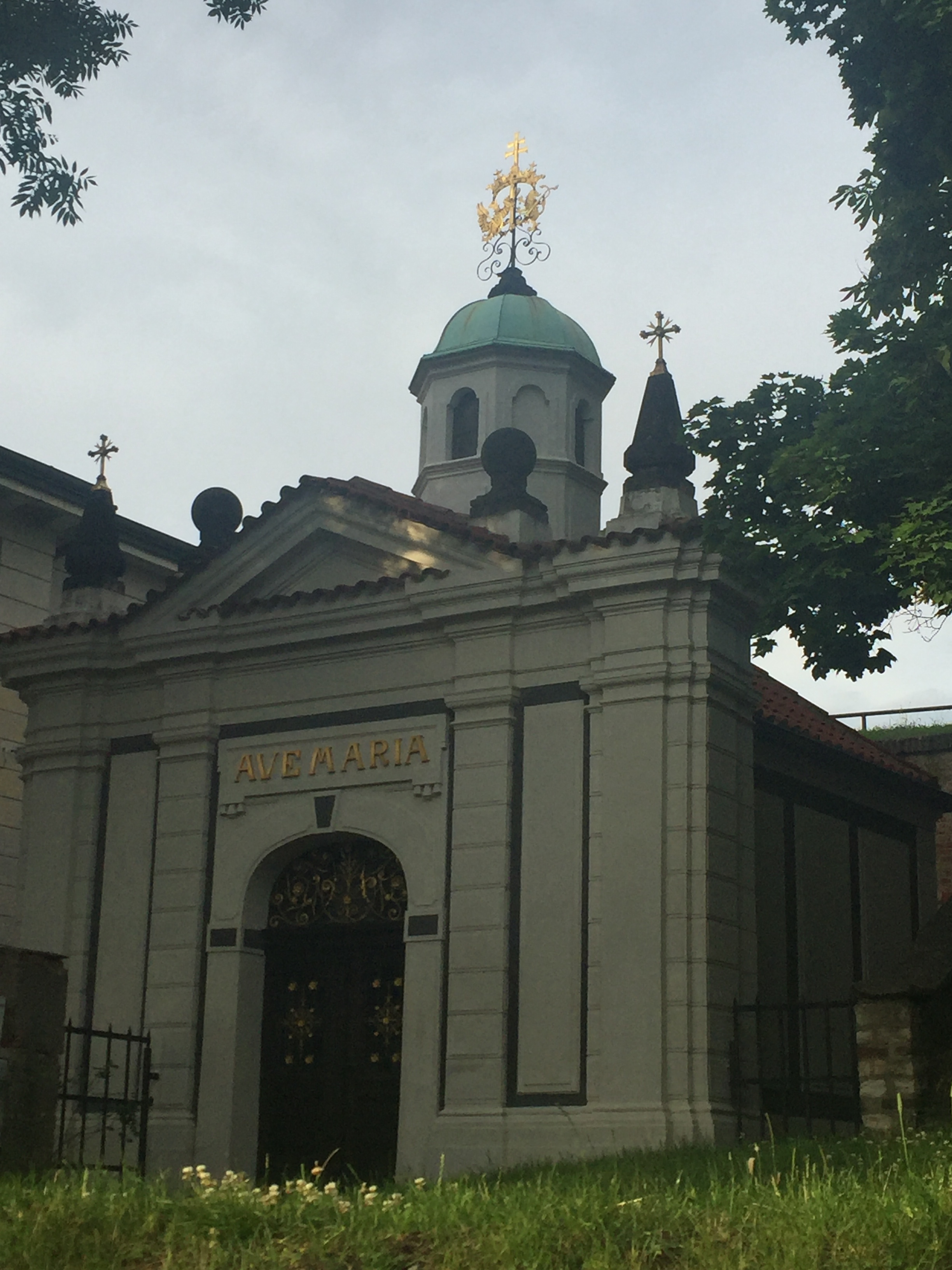 2017-07-11 19.46.29.jpg