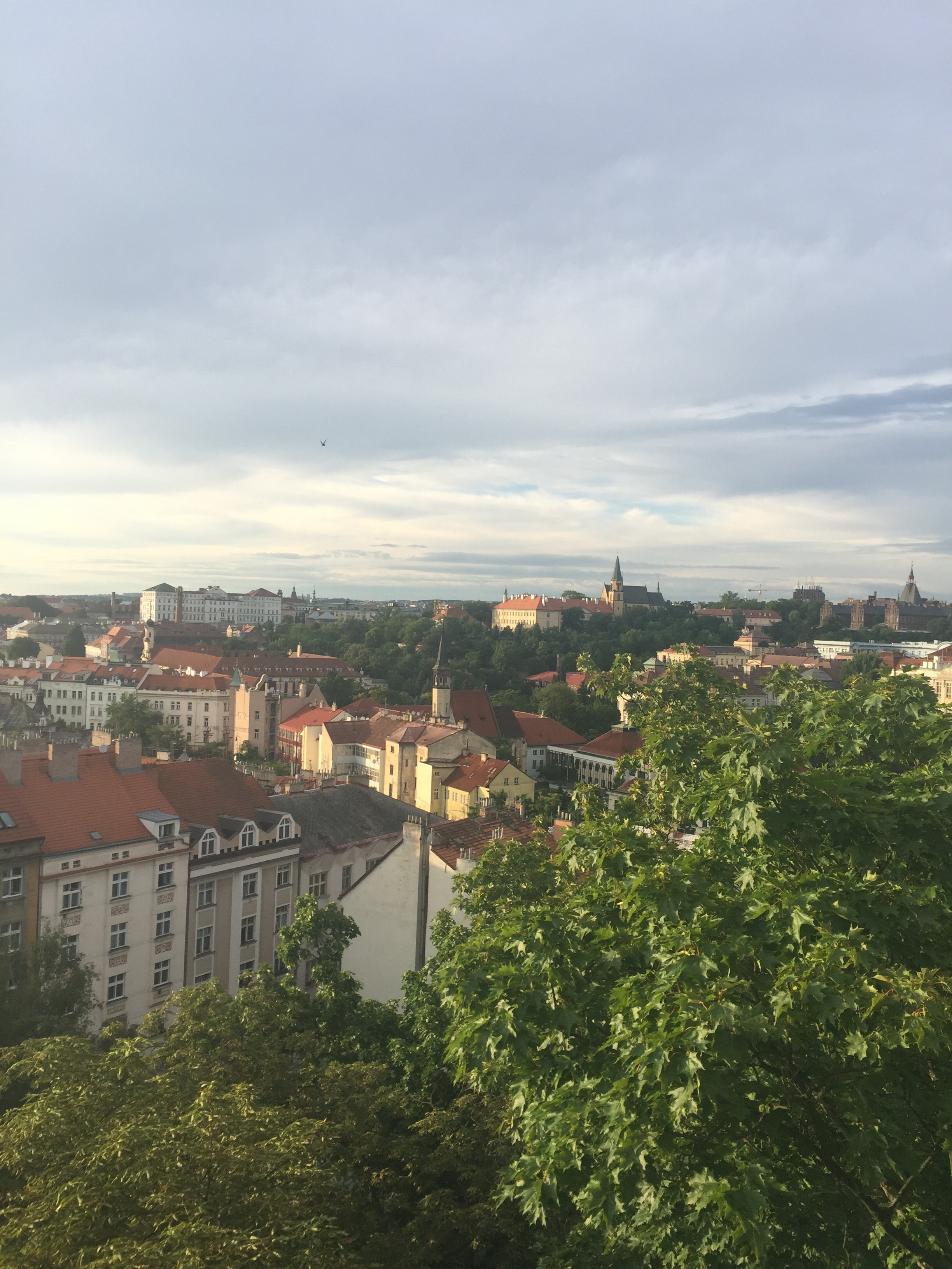 2017-07-11 19.51.16.jpg