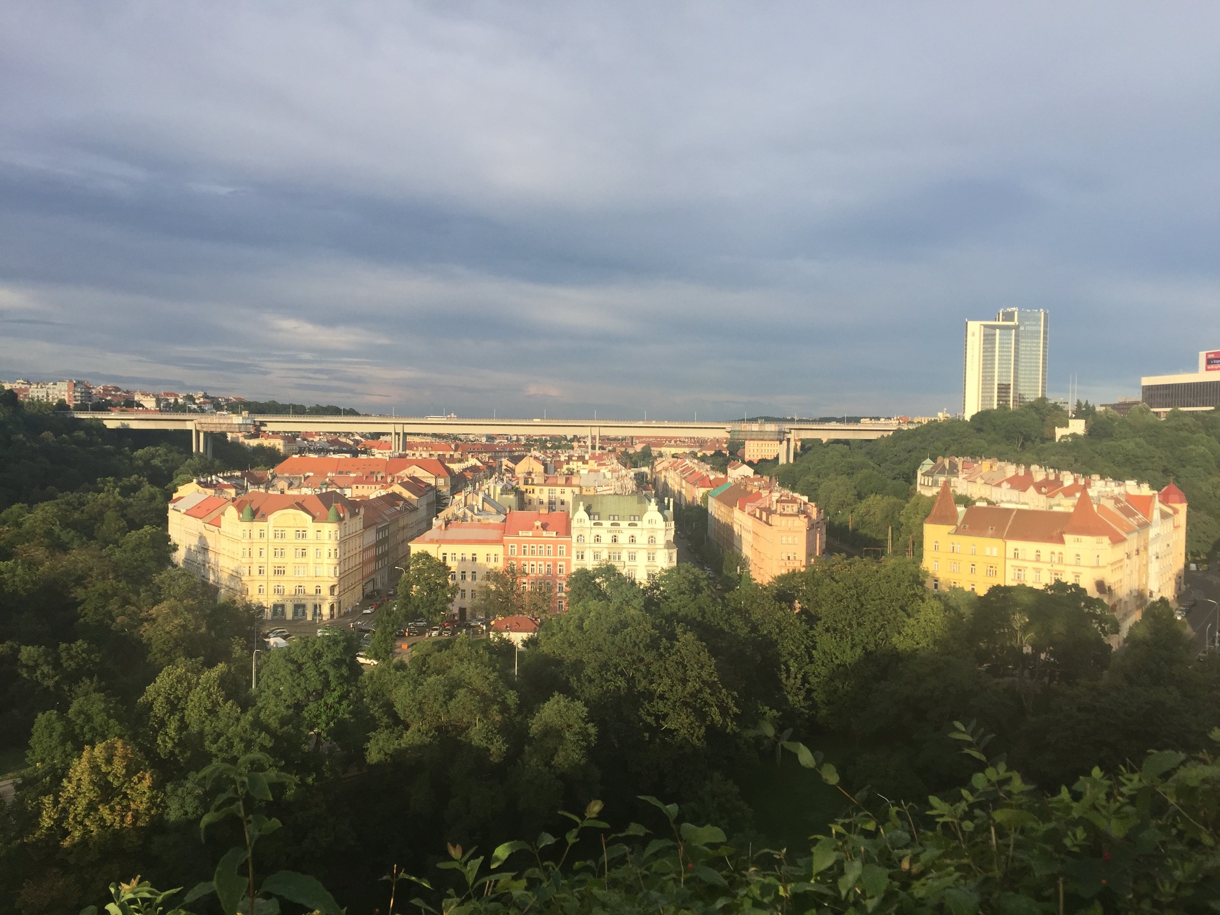 2017-07-11 19.52.32.jpg