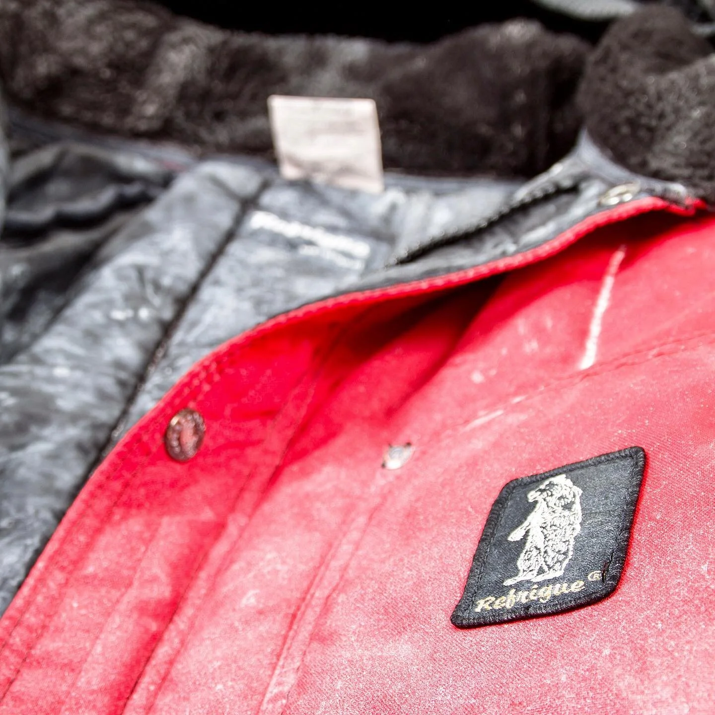 refrigue shopping online