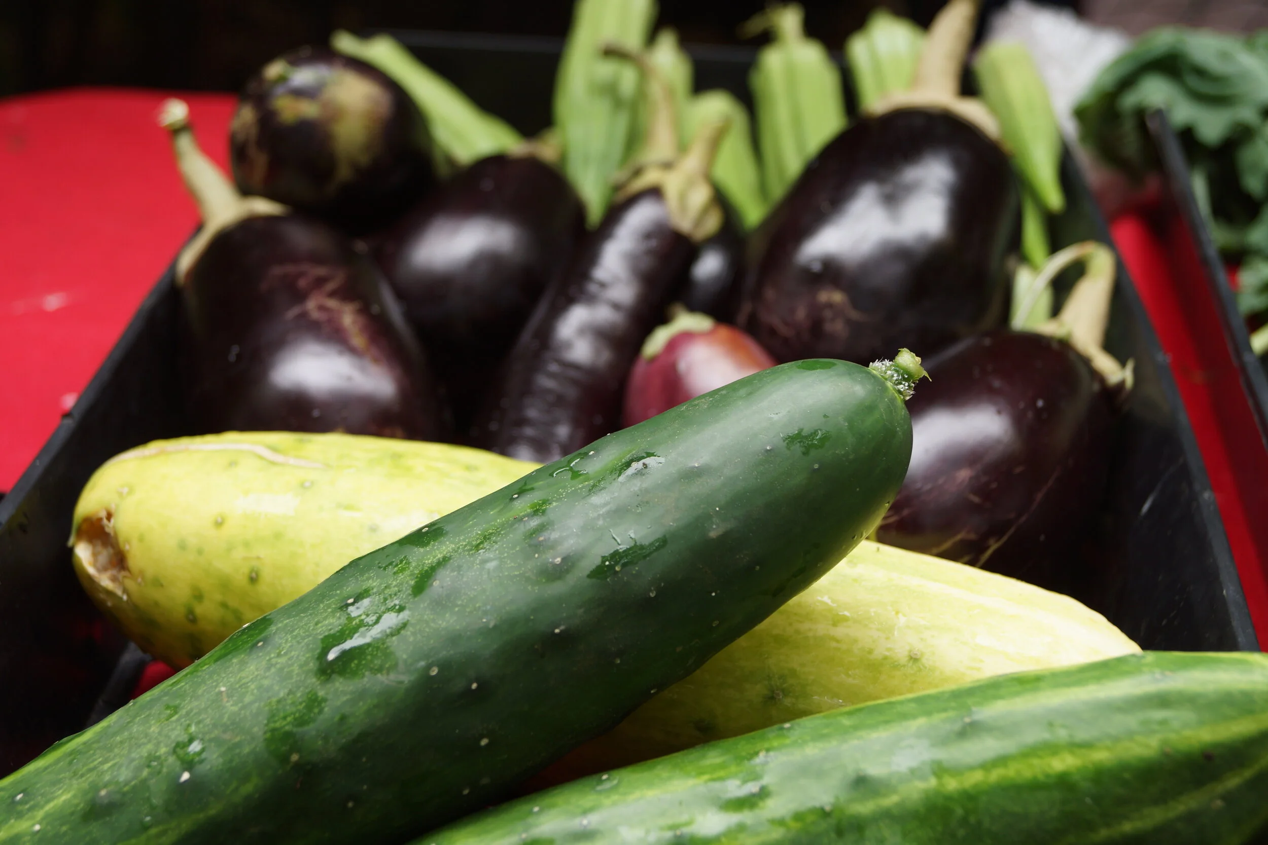 HARLEM GROWN ANNOUNCES NEW LEADERSHIP ROLES AS IT CELEBRATES 10 YEARS