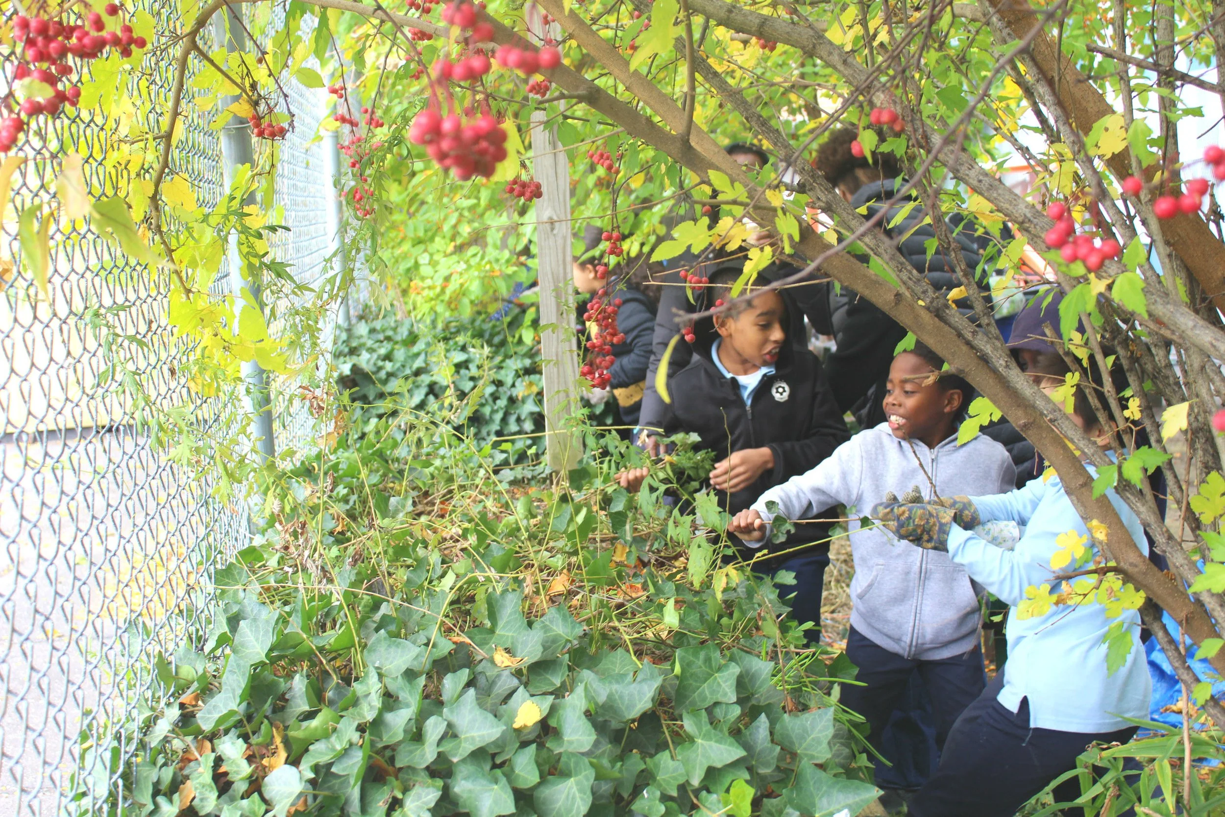 children gardening .jpg