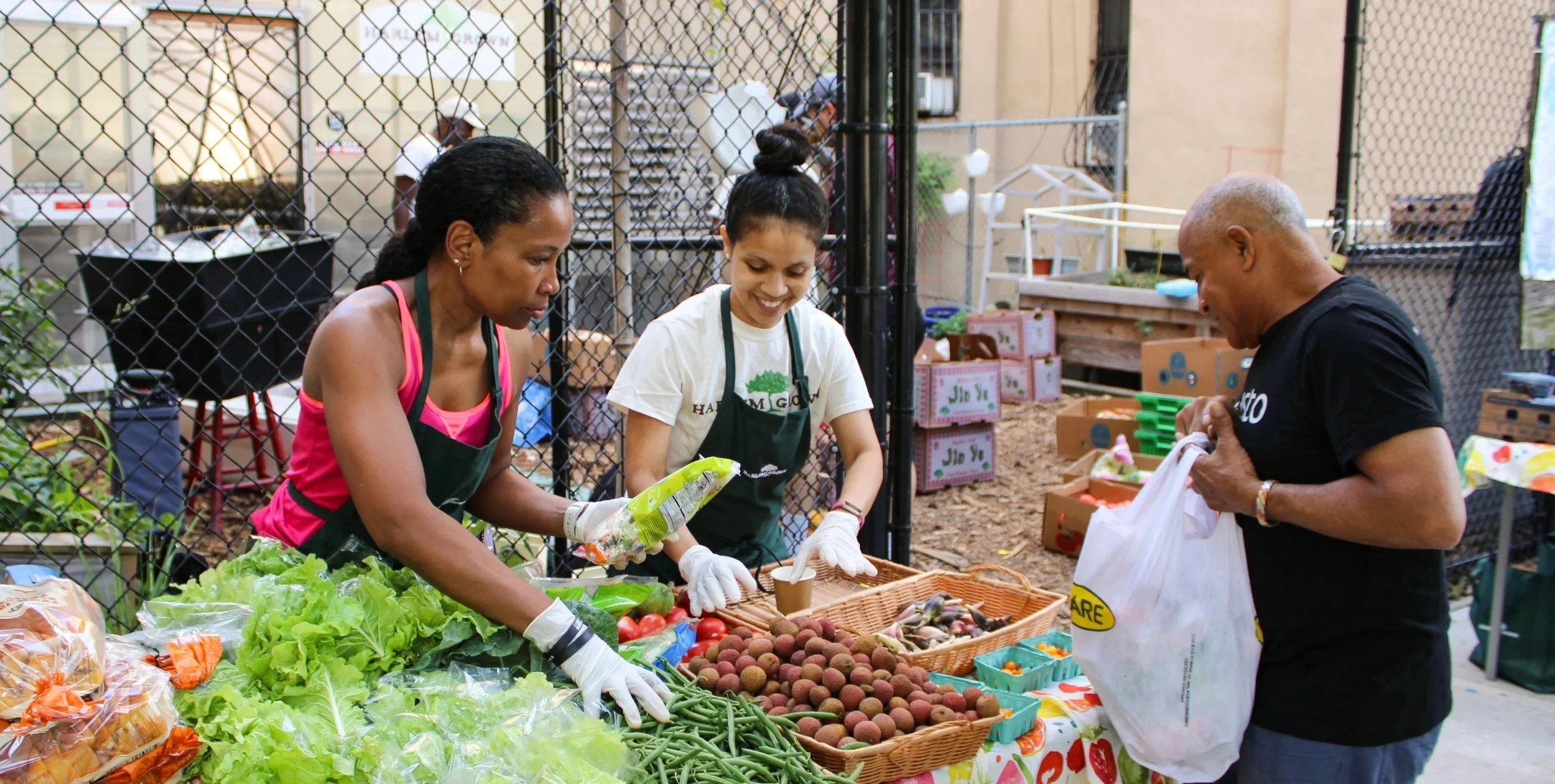 Fall+Harvest+Festival+9.21.24+-+41+%284%29.jpg