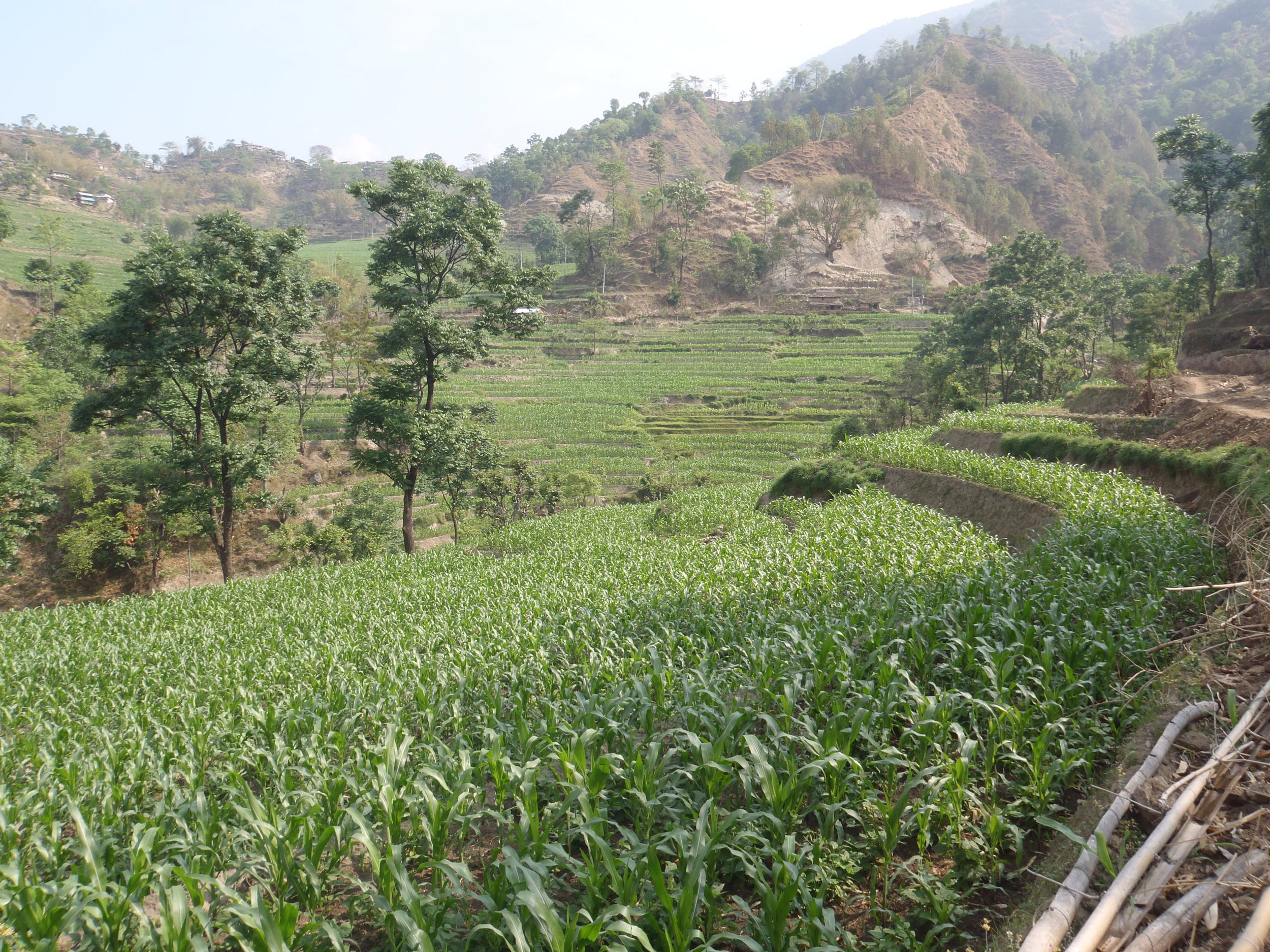 The start of the Annapurna Circuit is very green and very hot!
