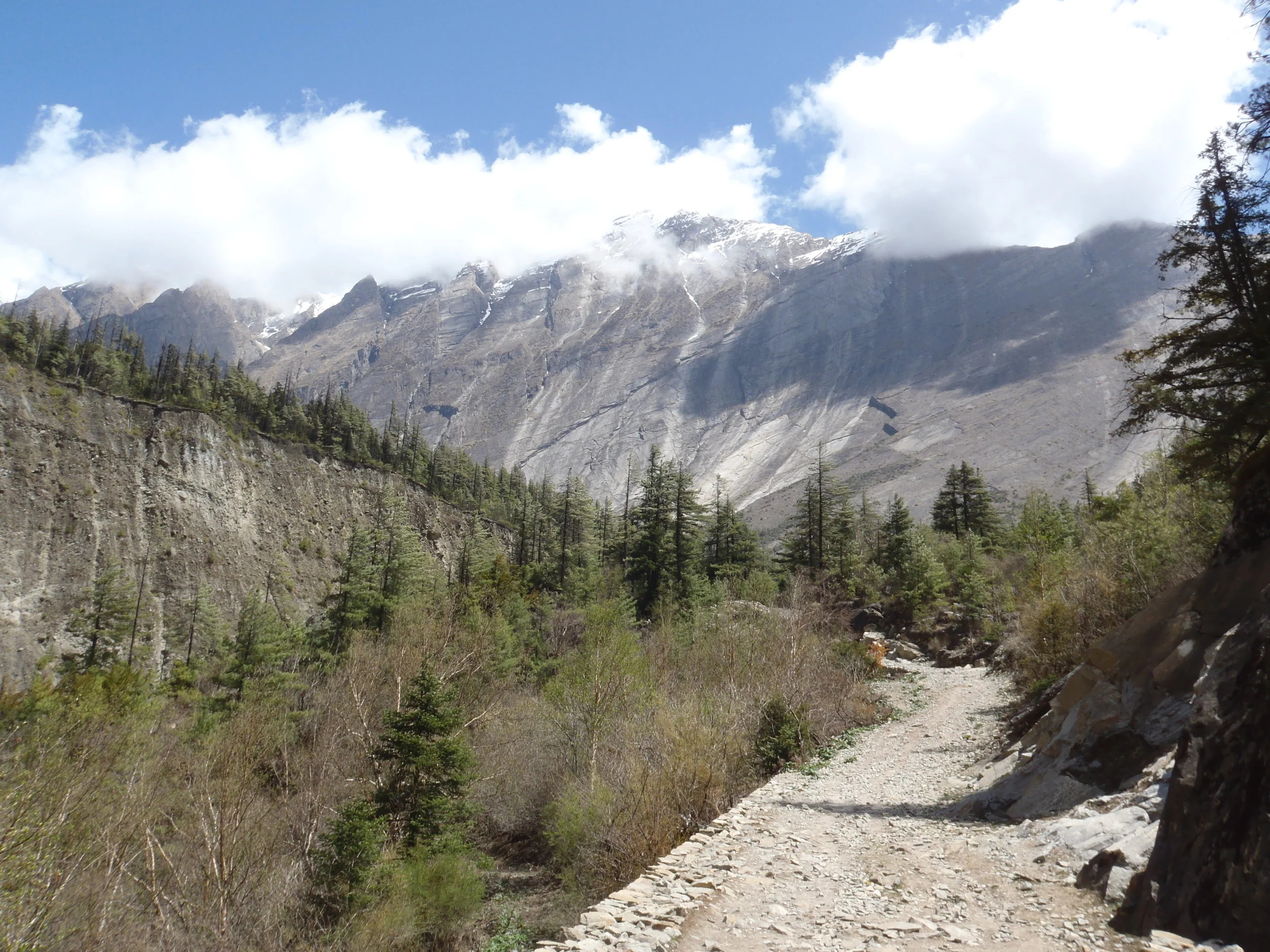 Sub-tropical lends to alpine terrain. 