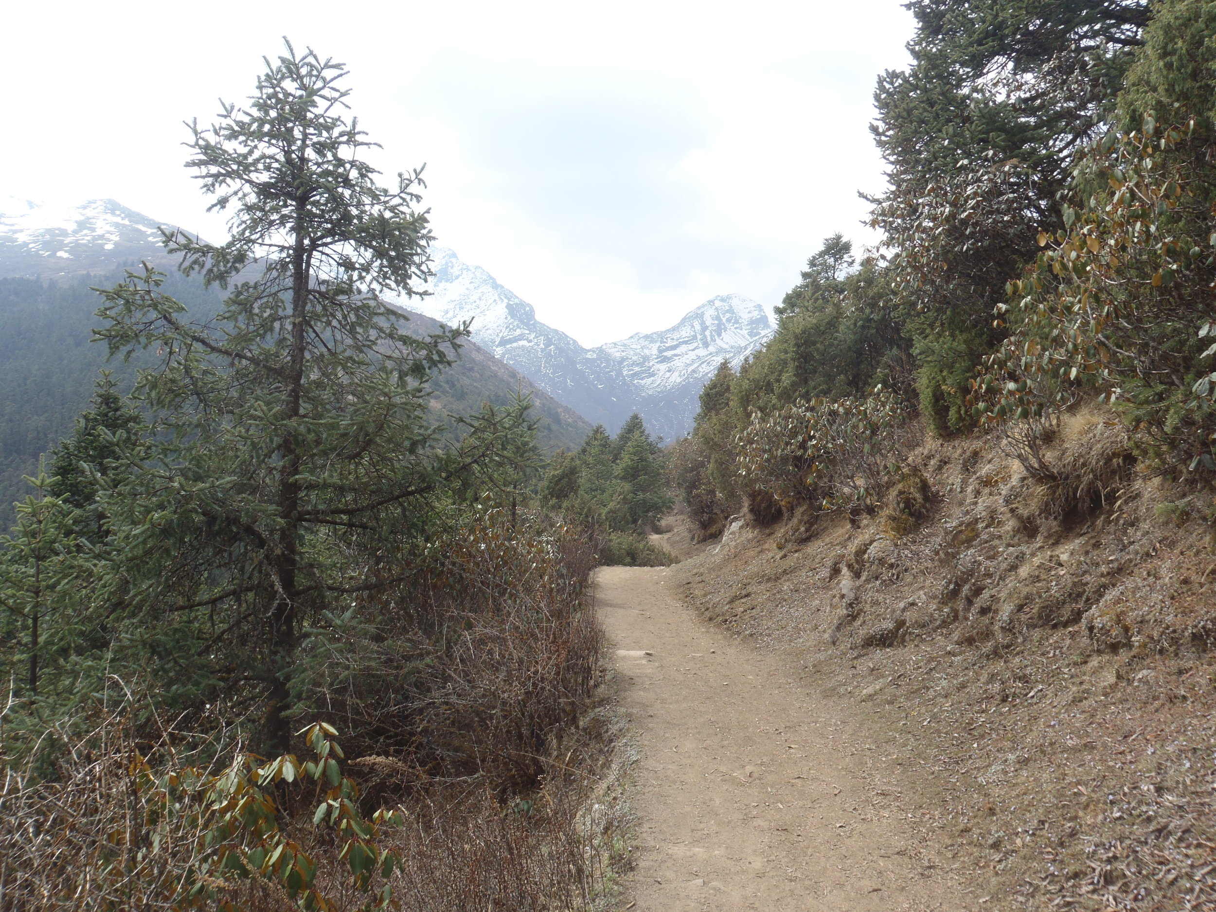 The trail to the mountains.