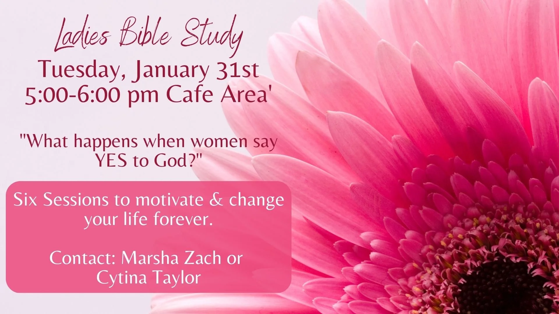 Ladies Bible Study