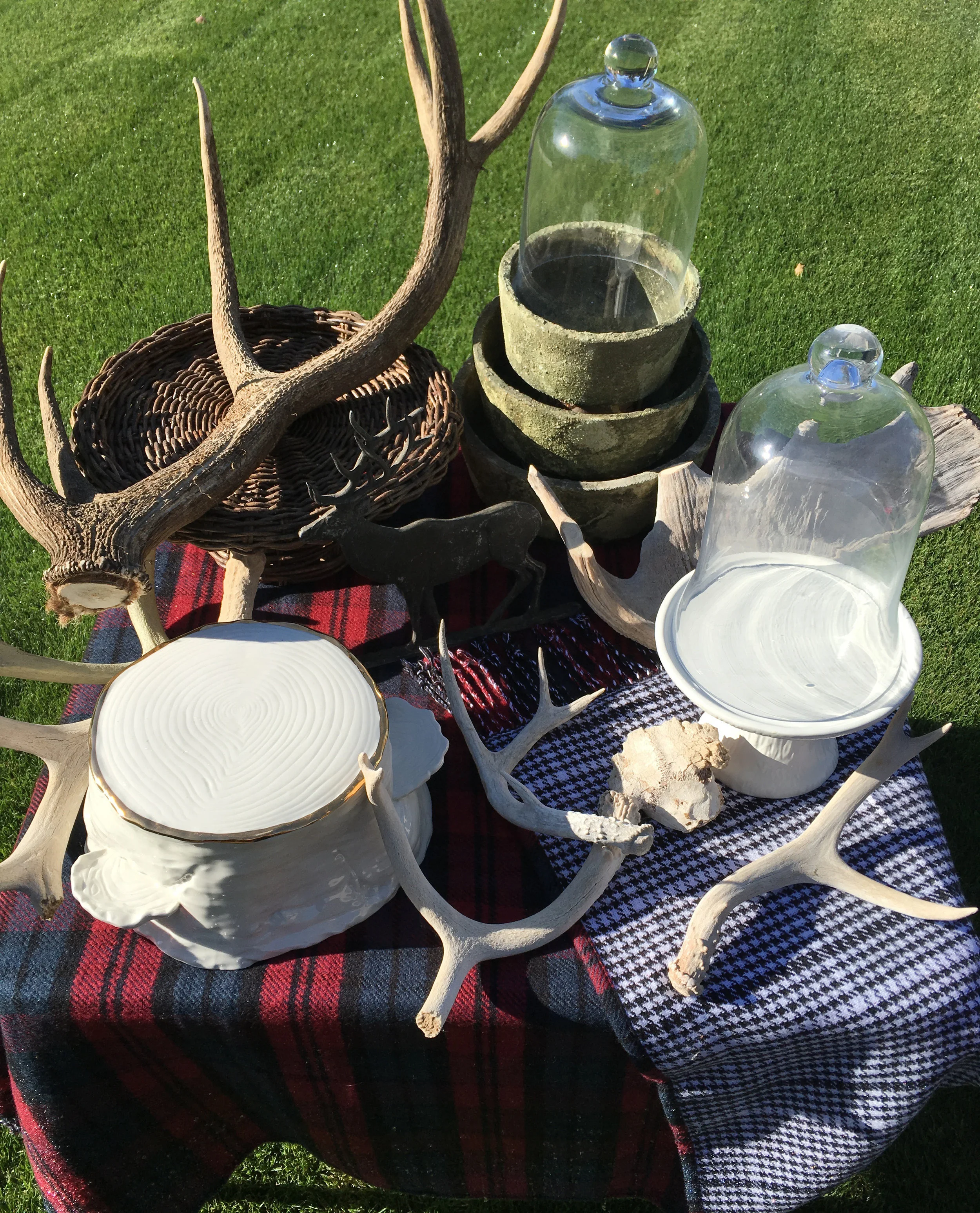 woodlands collection II.jpg
