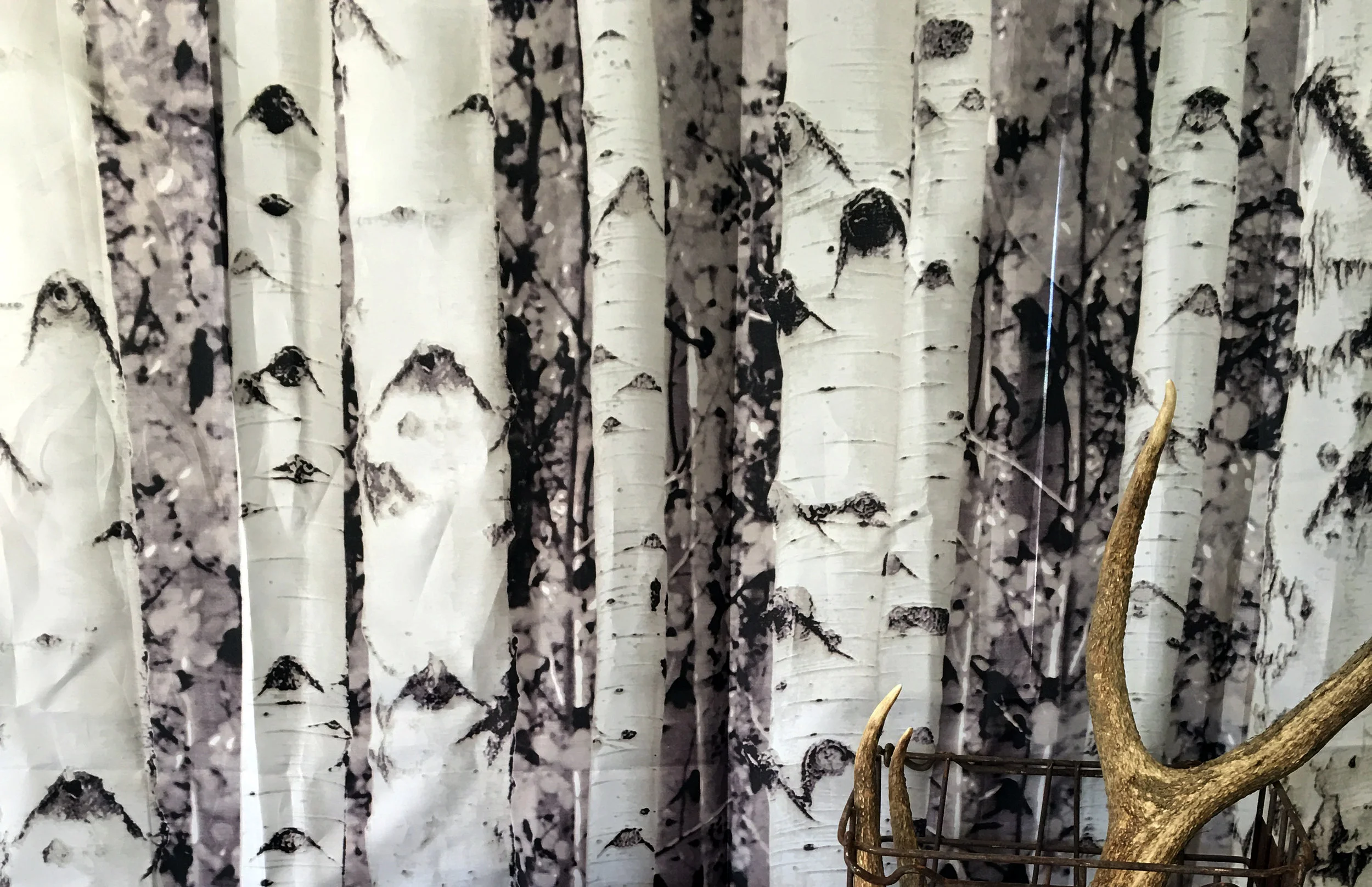backdrop.jpg