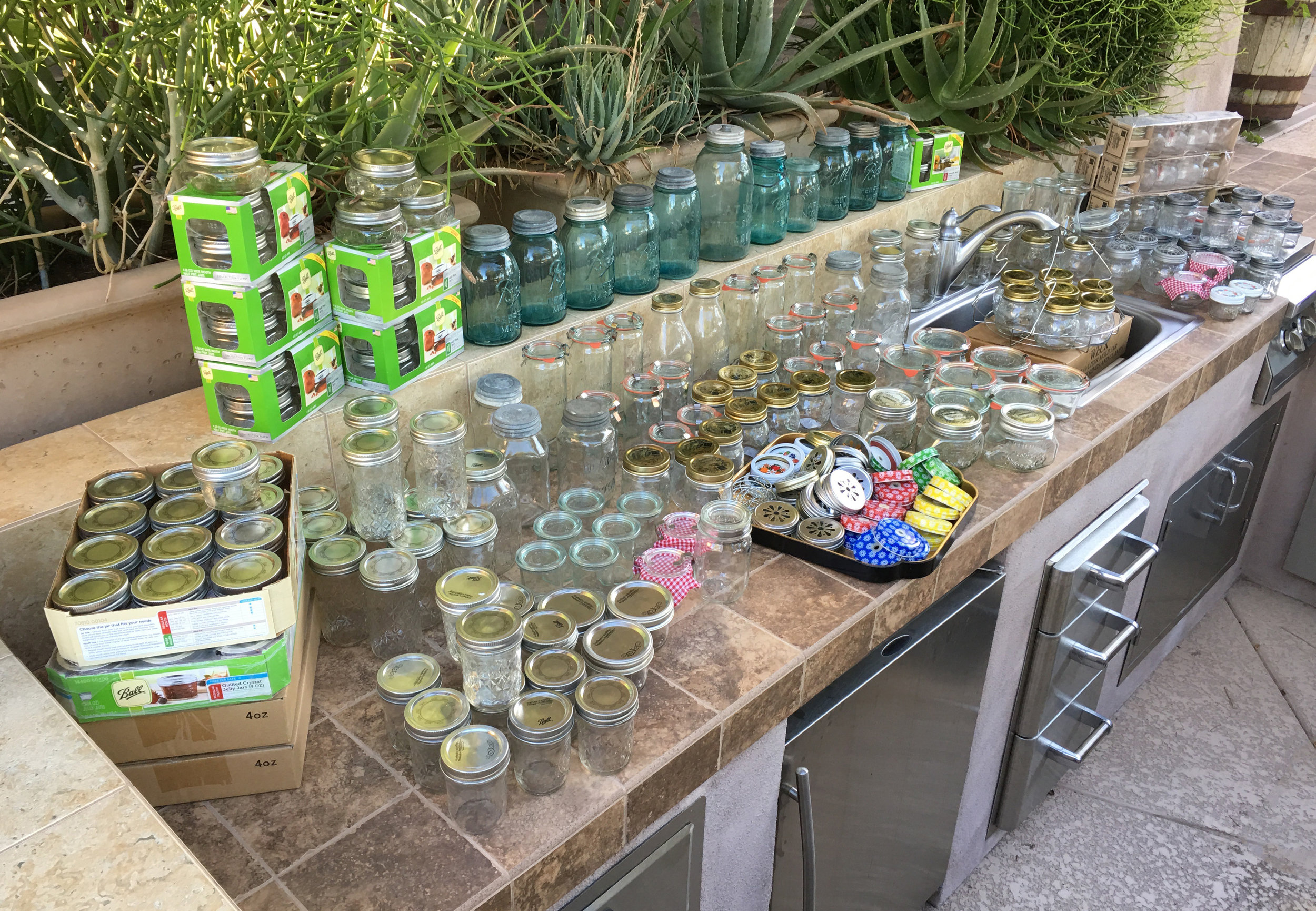jar collection.jpg