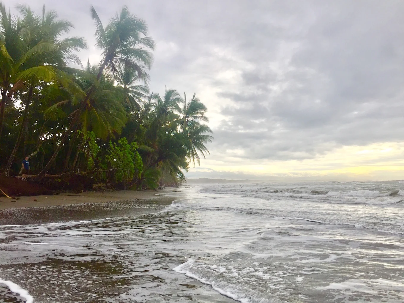 Ocean view.jpeg