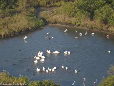 Photo: Indian River by Air