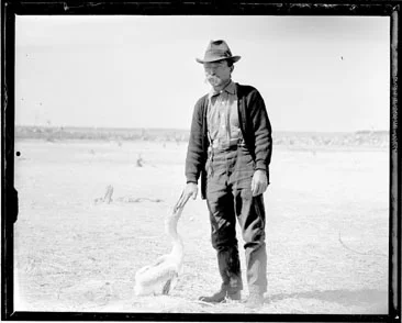  Photo of Paul Kroegel by George Nelson Paul Kroegel on Pelican Island