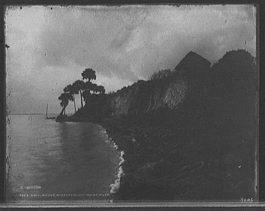  Jackson, William Henry, c. 1898, "Shell mound Barker's Bluff, Indian River", Library of Congress, Prints and Photographs Division, Detroit Publishing Company Collection. Kroegel homestead on Barker's Bluff, a huge "Ais" Indian Shell Mound.