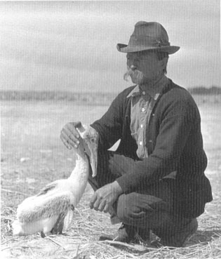 America's first game warden and wildlife manager, Sebastian resident Paul Kroegel (1864-1948) with a brown pelican at Pelican Island taken in 1907.