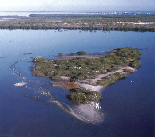  An aerial view of Pelican Island, which sits in the Indian River between the Sebastian Inlet and the Wabasso Causeway. The 2.5-acre island is birthplace of the National Wildlife Refuge System,