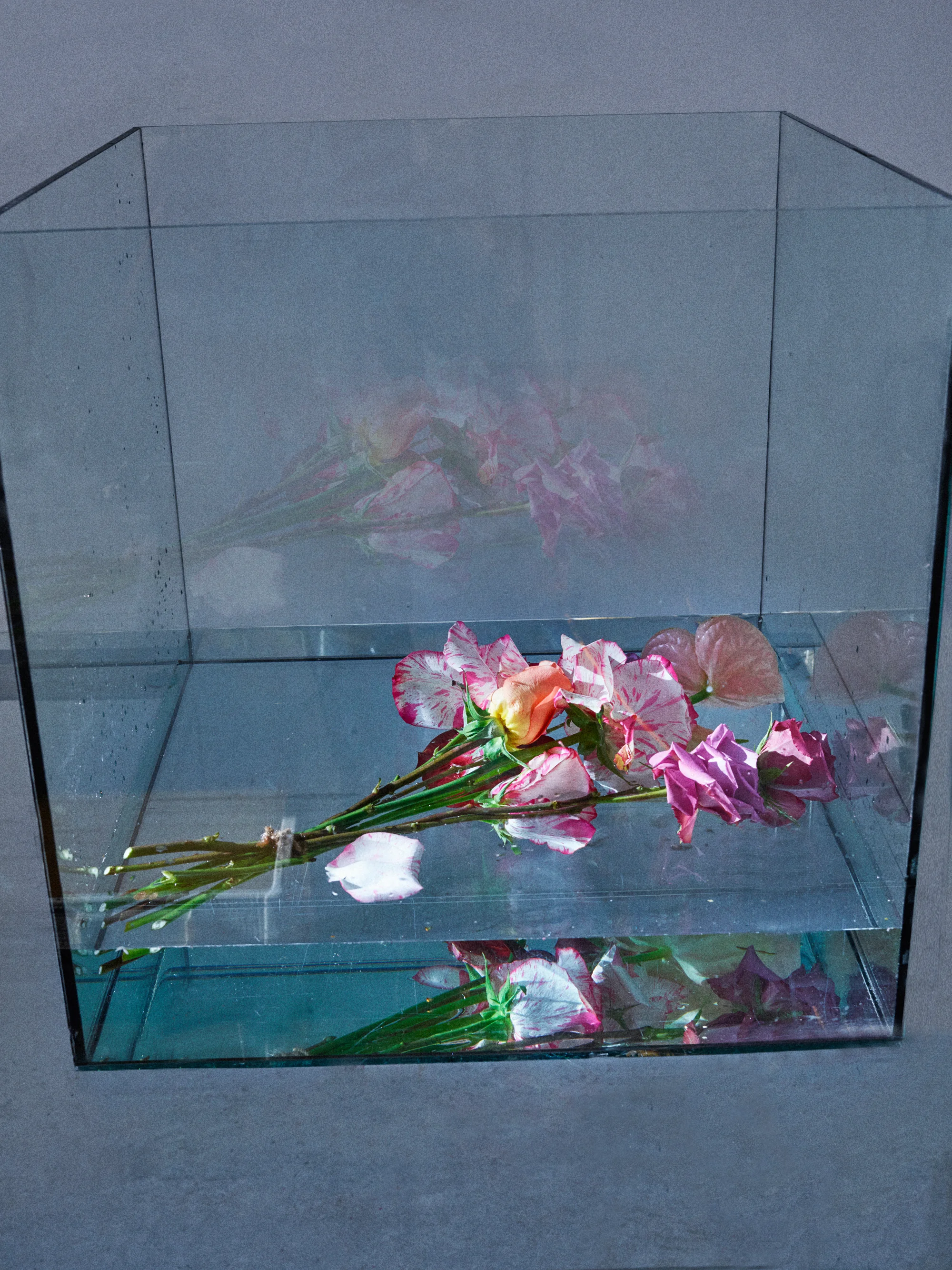 Flowers and Others90154.jpg