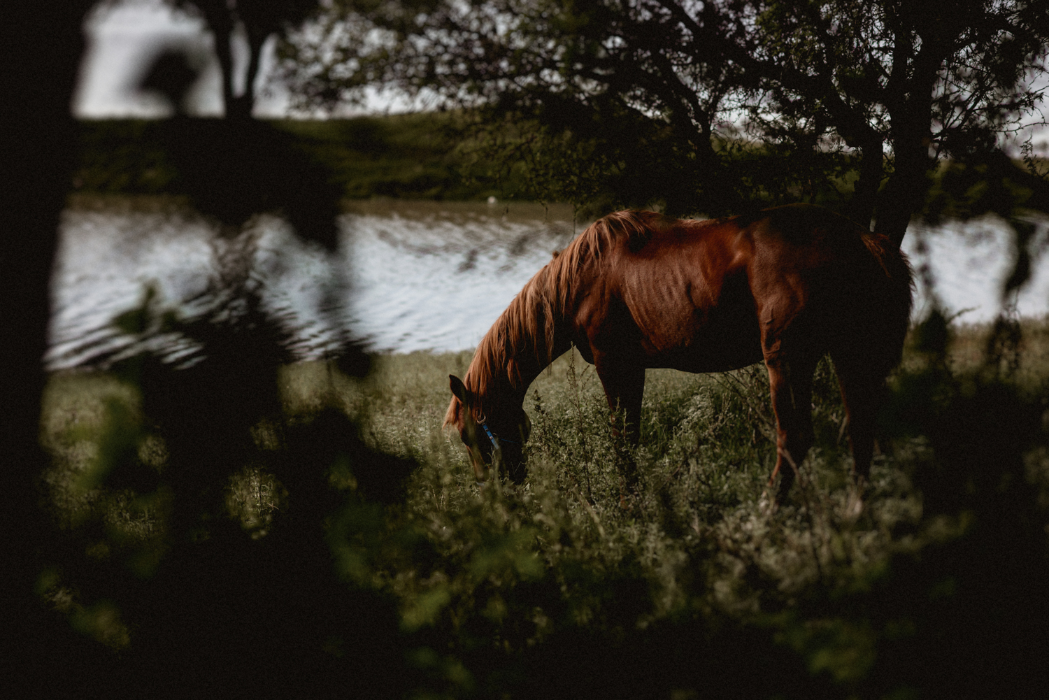 Jaz & Ghislain-1.jpg