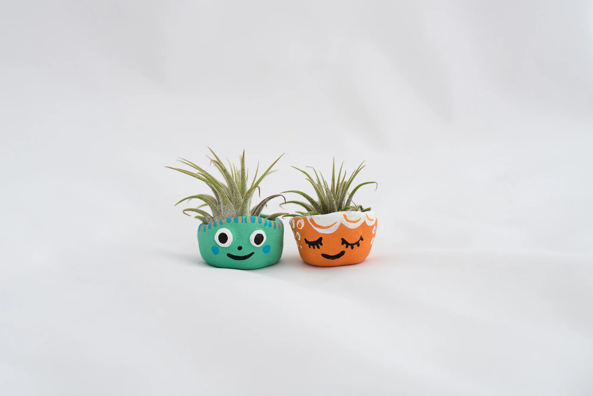 Paper + Petal Care Package Delivery Gift Box Gift for Friend You're a Gem Gemstones Mixie Studio Beast Buddy Air Plant