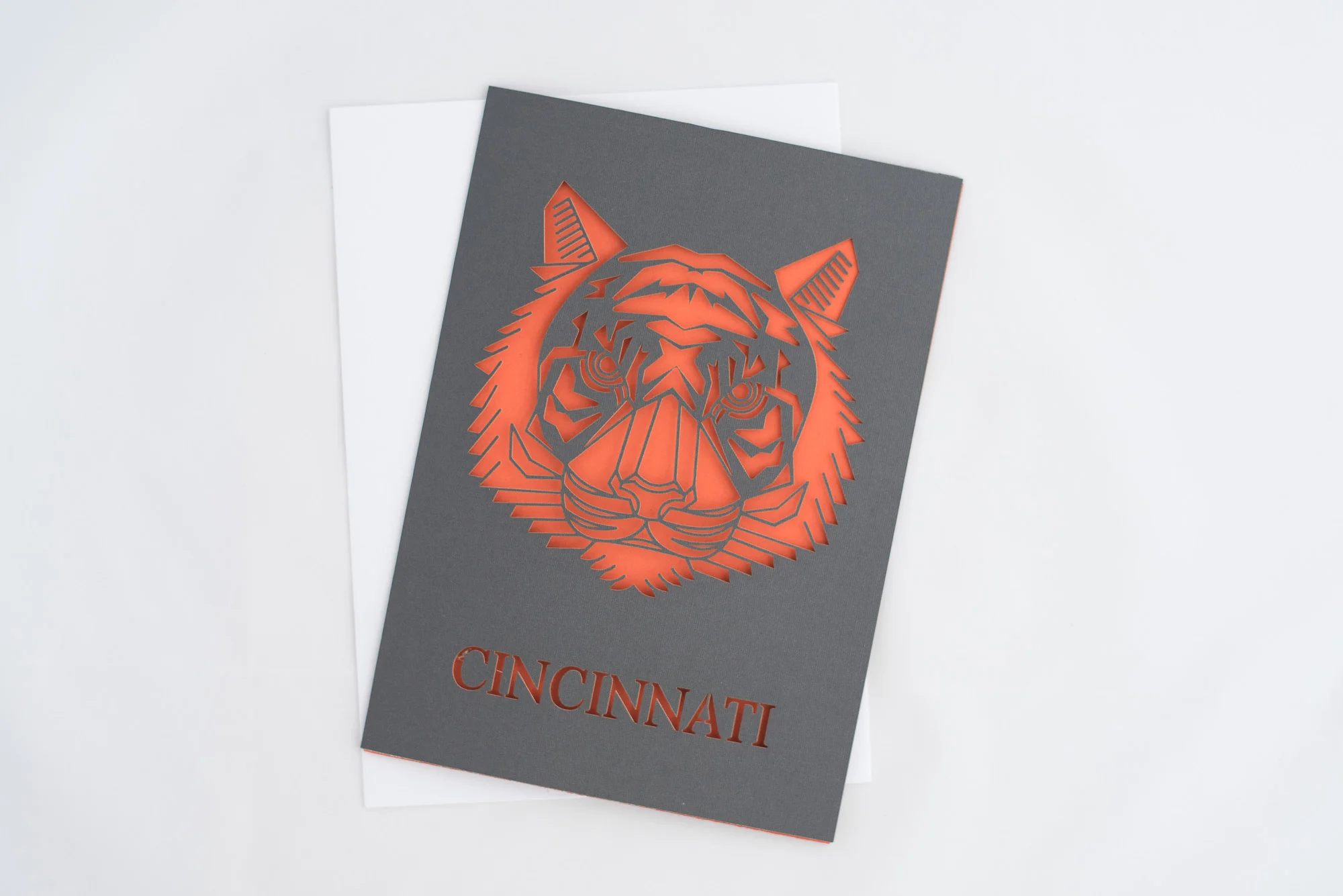 Paper + Petal Care Package Delivery Gift Box Cincinnati Lucca Bengals