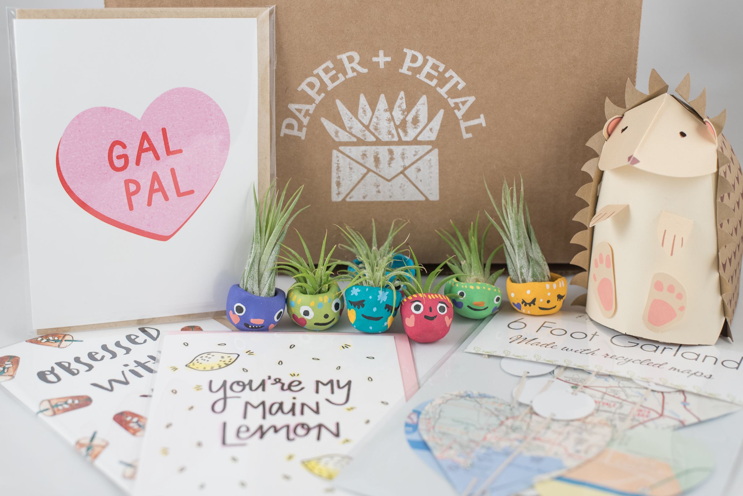 Gal Pal Paper + Petal Care Package Delivery Gift Box Gift for Friend Paper Acorn Handzy Shop and Studio