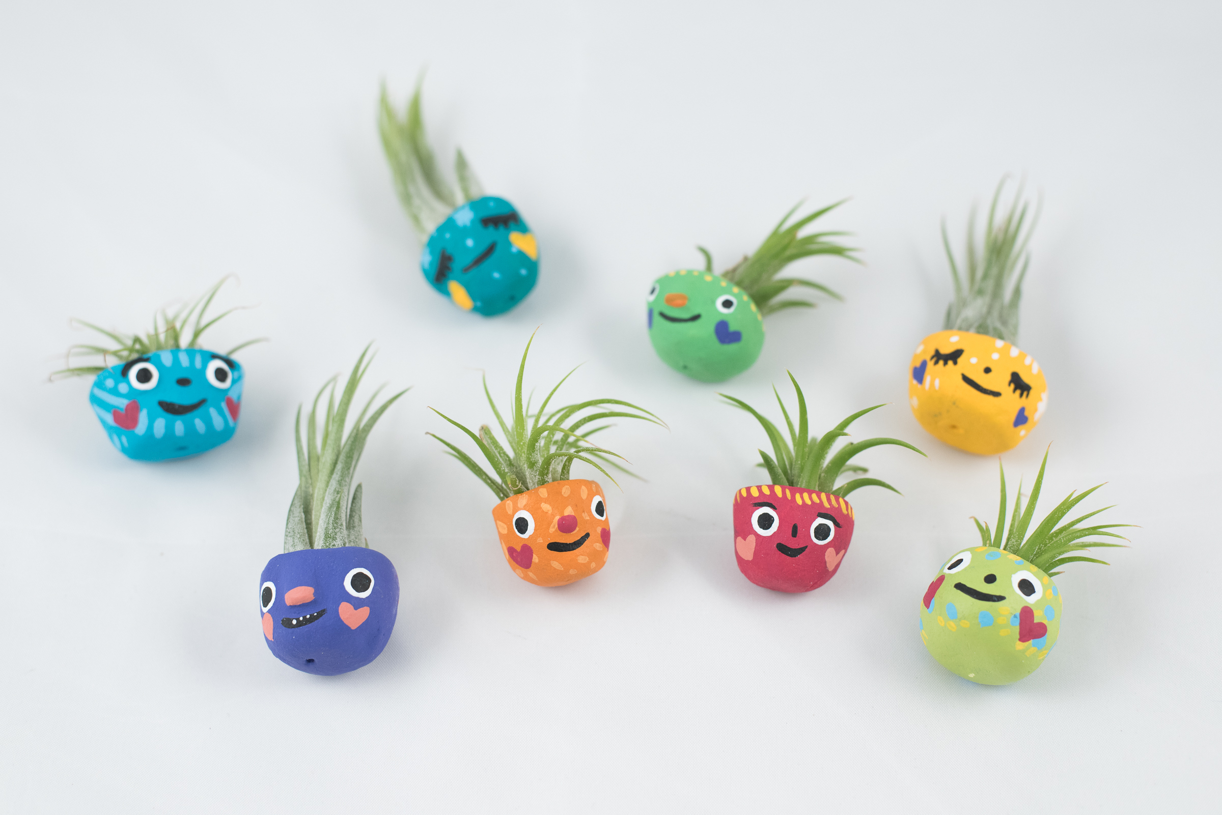 Gal Pal Paper + Petal Care Package Delivery Gift Box Gift for Friend Mixie Studio Air Plant Beast Buddy
