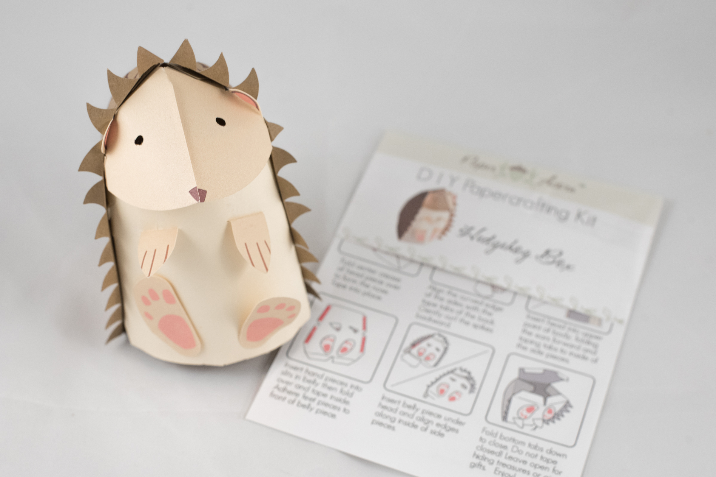 Gal Pal Paper + Petal Care Package Delivery Gift Box Gift for Friend Paper Acorn