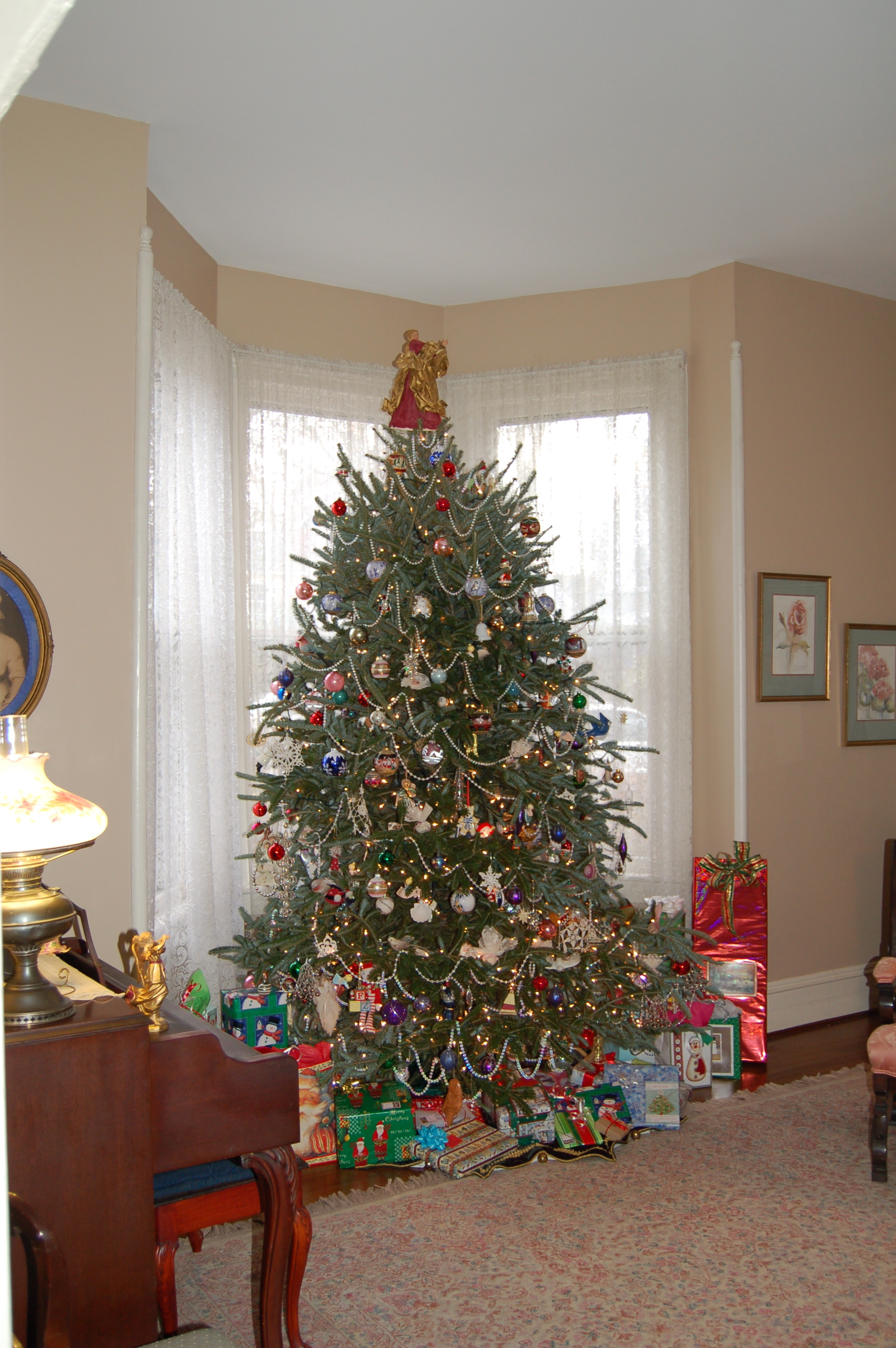DSC_0090-2.jpg