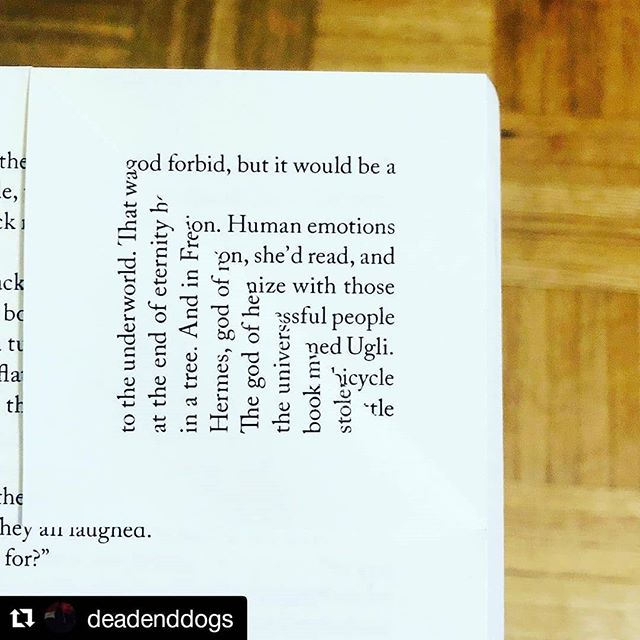 @deadenddogs finding poetry in The Ugly that I didn't know was there.

#Repost @deadenddogs
・・
To the underworld_
At the end of eternity
In a tree_
.
.
.
.
.
.
.
.
.
.
.
.
.
.
.
.
.
#theugly
#alexanderboldizar 
#harvard 
#verkhoyansk 
#slovakia
#boul